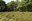 Les landes d'Ombret