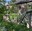 Le moulin de Bende